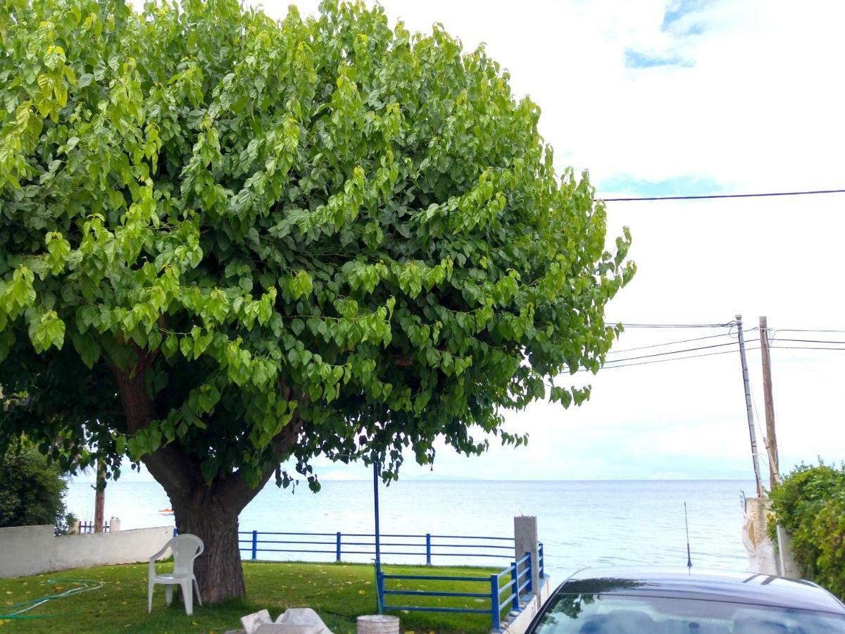 Papadogiannopoulos House Aigio Esterno foto